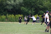 OTFL Gallery Image